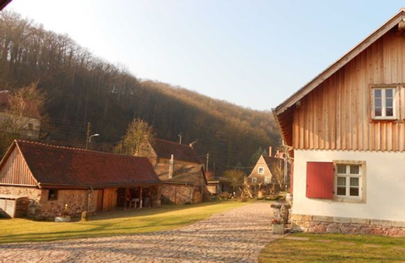 Weinbau Fehrmann in Dresden