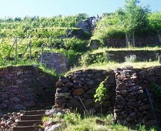 Anwesen und Auszeichnungen von Weinbau Fehrmann