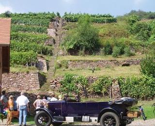 Anwesen und Auszeichnungen von Weinbau Fehrmann