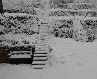 Weinberg versinkt in winterlicher Pracht!