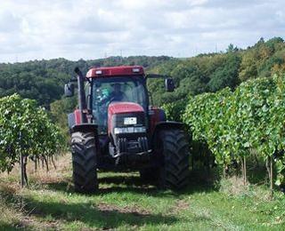 Anwesen und Auszeichnungen von Weinbau Fehrmann